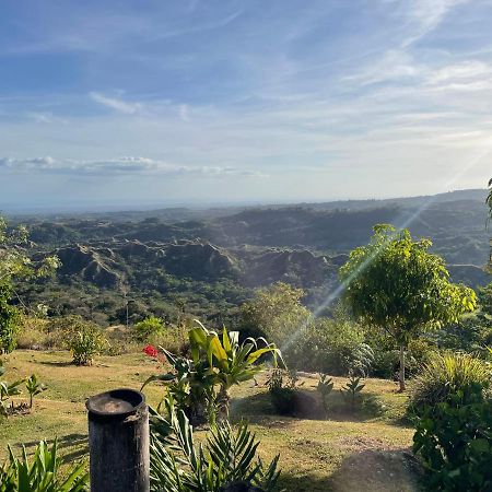 Hawk'S Nest Bed & Breakfast La Laguna de San Carlos Exterior photo