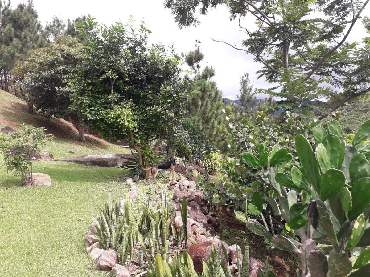 Hawk'S Nest Bed & Breakfast La Laguna de San Carlos Exterior photo