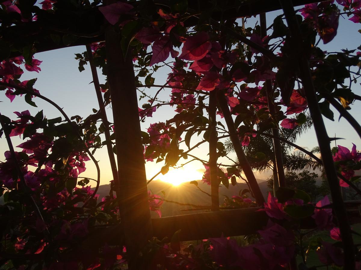 Hawk'S Nest Bed & Breakfast La Laguna de San Carlos Exterior photo